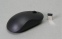 Wireless Mouse Image